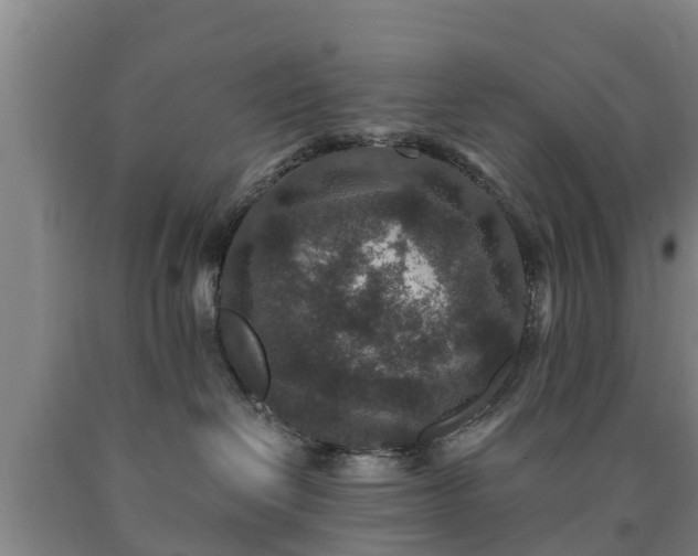 X0000090730286200707271410