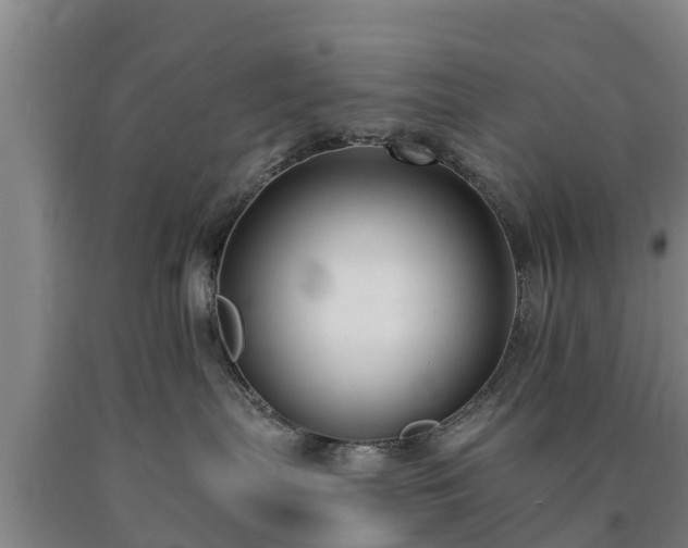 X0000090730287200707271410
