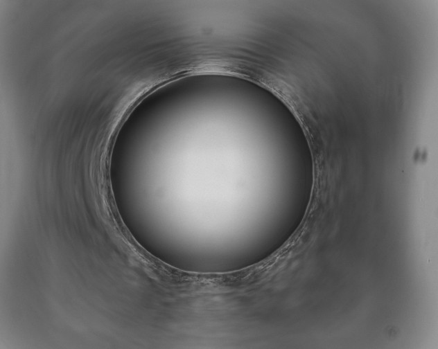 X0000090730289200707271410