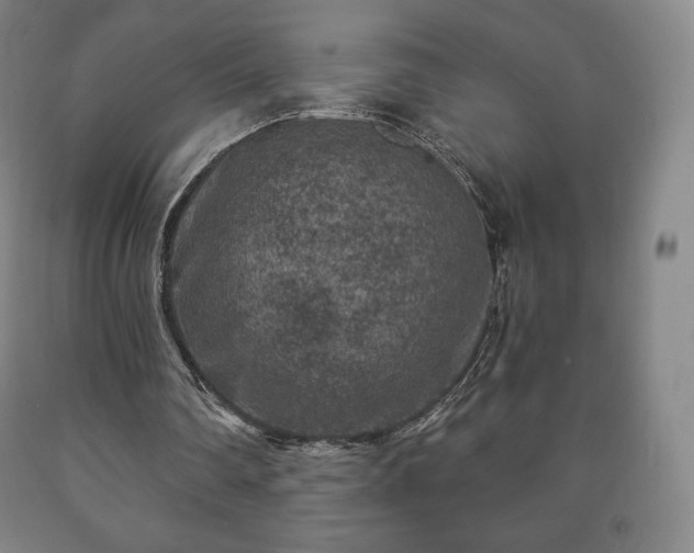 X0000090730290200707271410