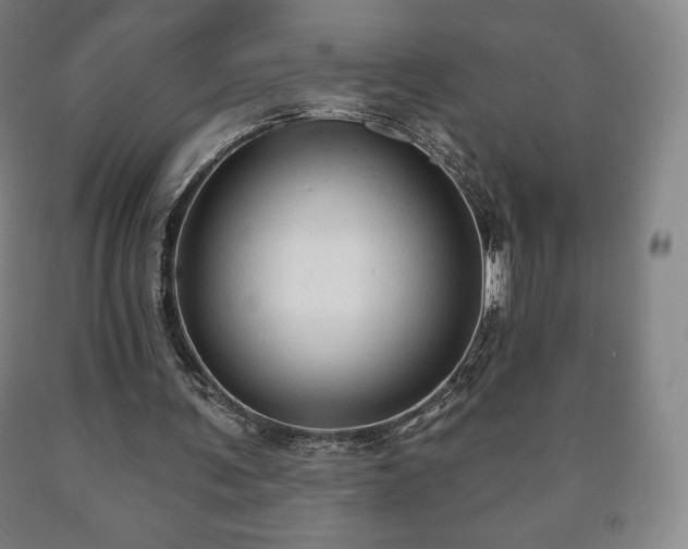 X0000090730291200707271410