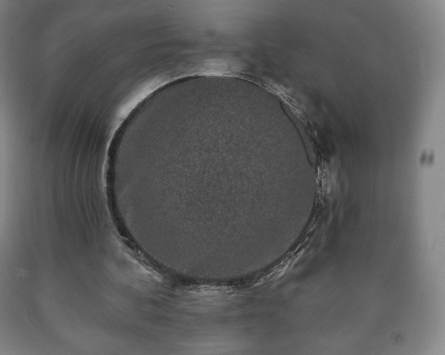 X0000090730292200707271410