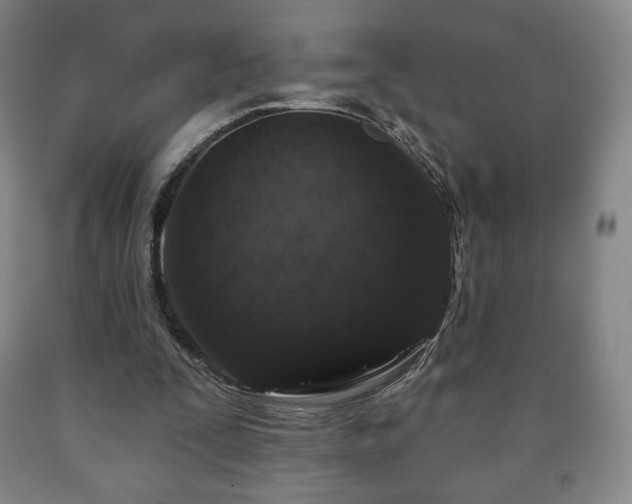 X0000090730295200707271409