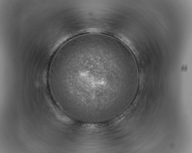 X0000090730297200707271409