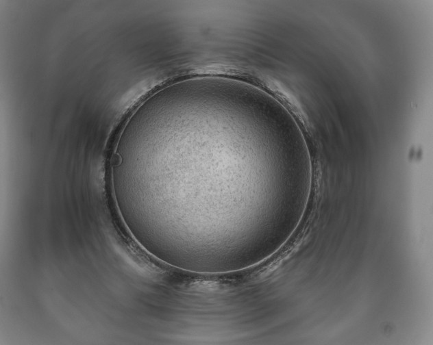 X0000090730298200707271409