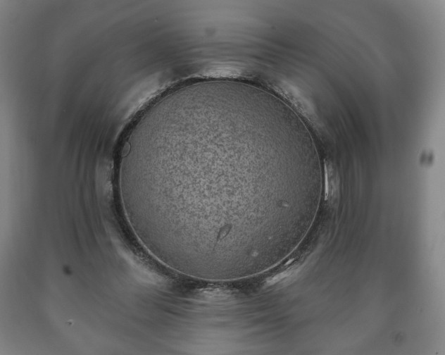 X0000090730300200707271409