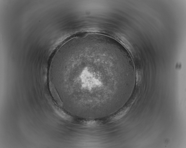 X0000090730301200707271409