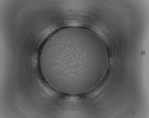 X0000090730304200707271409