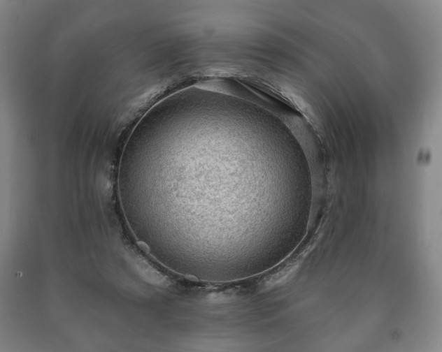 X0000090730305200707271409