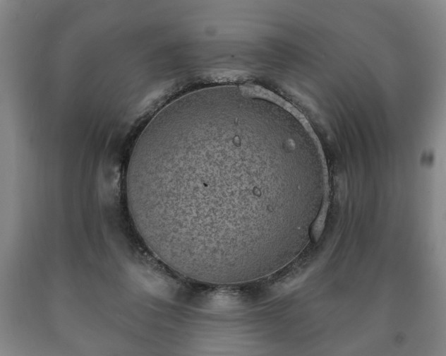 X0000090730308200707271409