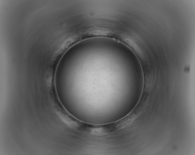 X0000090730309200707271409