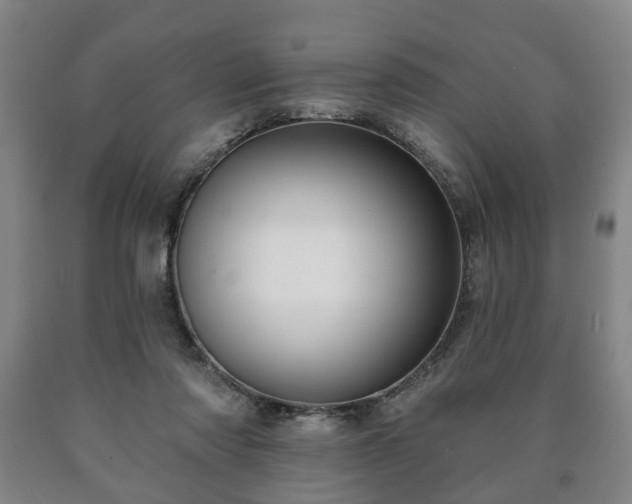 X0000090730310200707271409