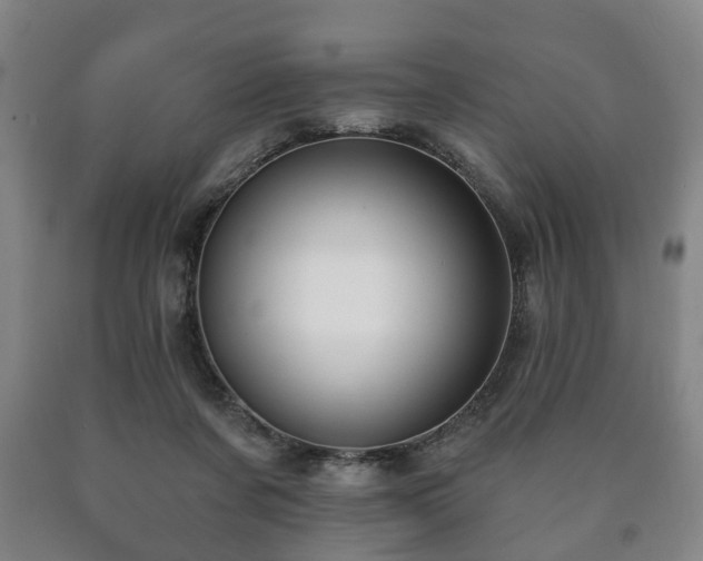X0000090730311200707271409