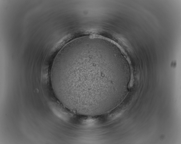 X0000090730312200707271409