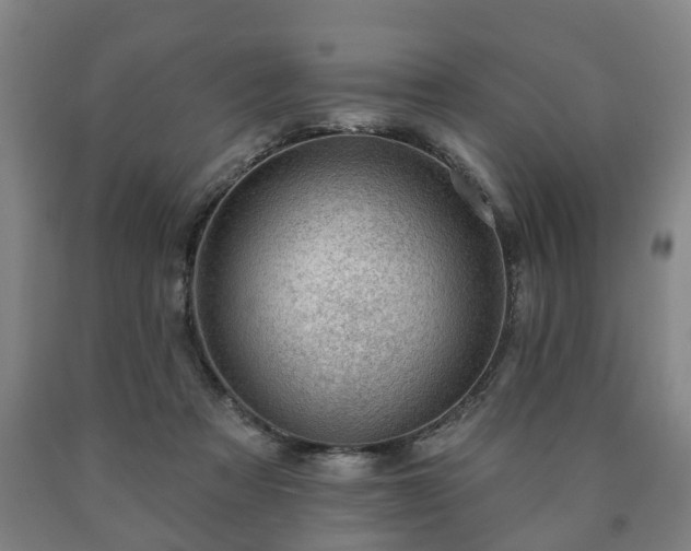 X0000090730313200707271409