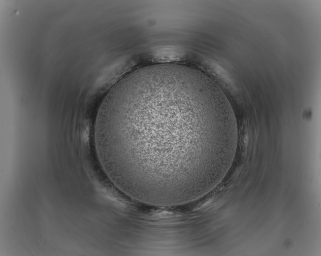 X0000090730315200707271409