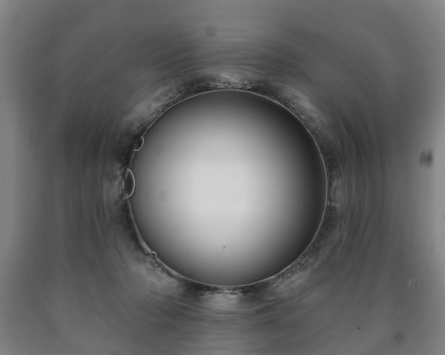 X0000090730318200707271409
