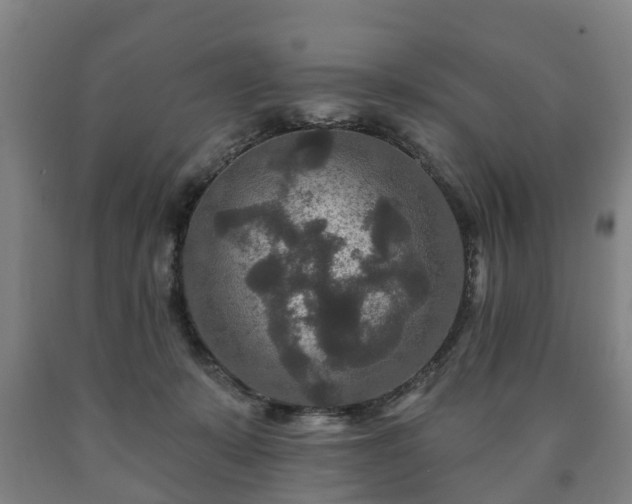 X0000090730319200707271409