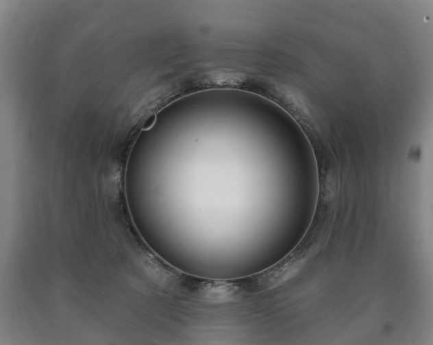 X0000090730321200707271409