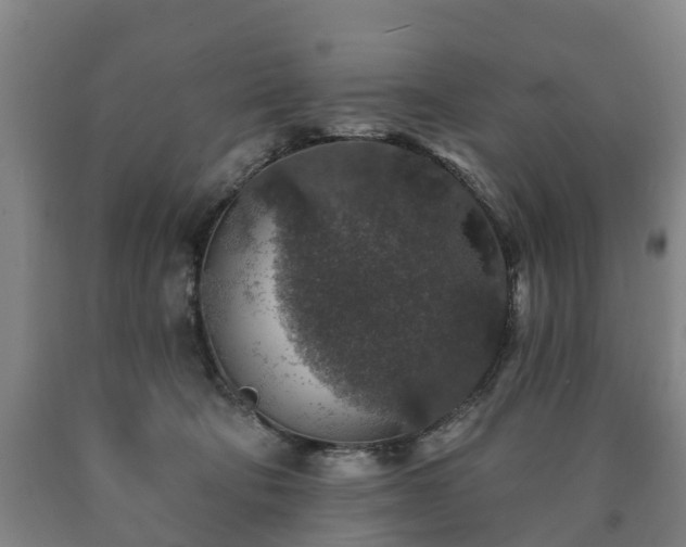 X0000090730322200707271409