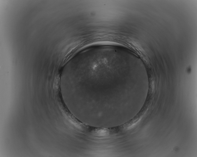 X0000090730325200707271409