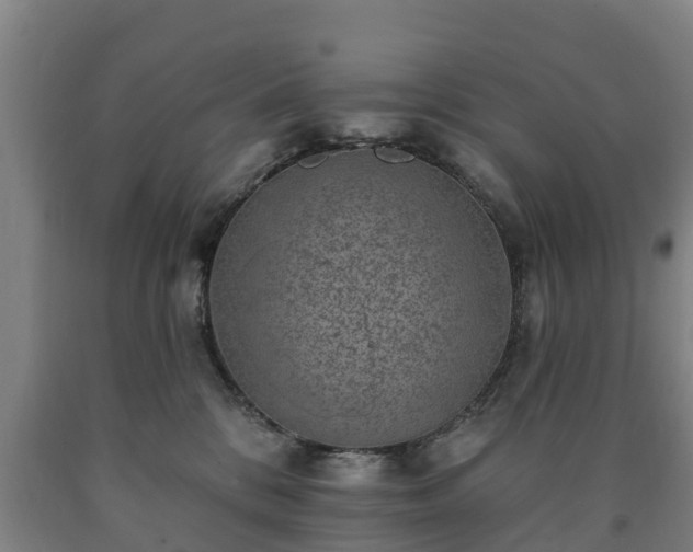 X0000090730328200707271409