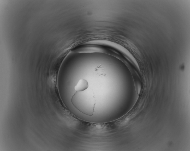 X0000090730329200707271409