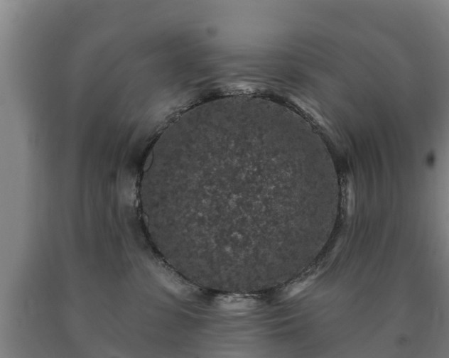 X0000090730331200707271409