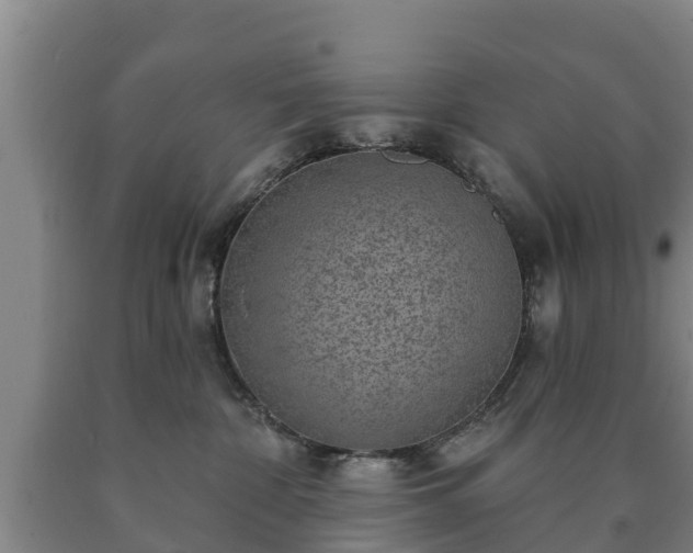 X0000090730332200707271409