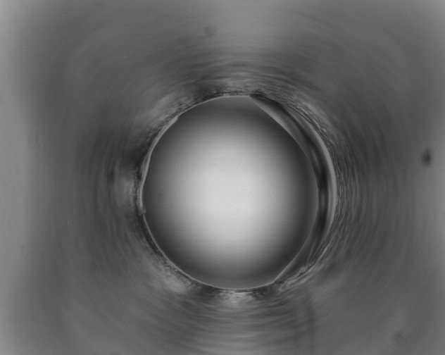 X0000090730333200707271409