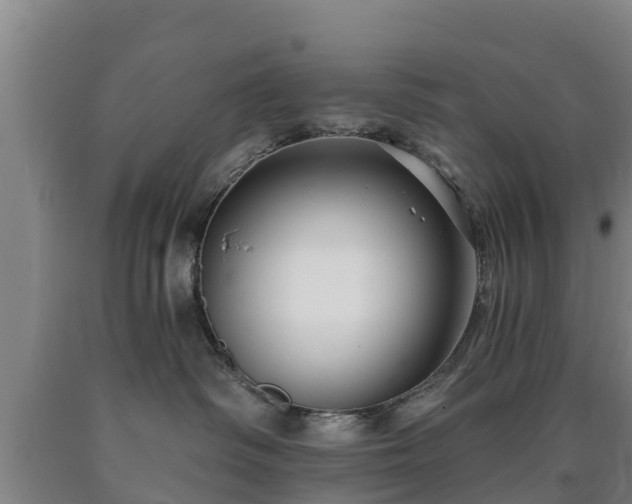 X0000090730334200707271409