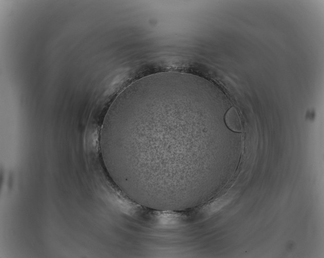 X0000090730336200707271409