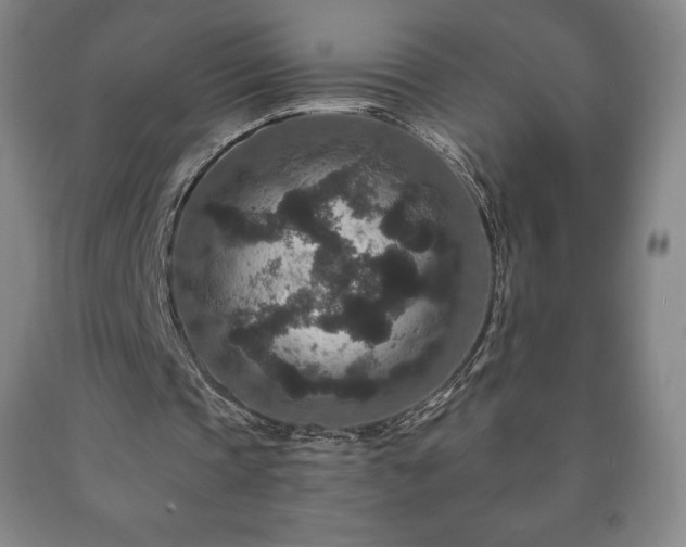 X0000090730337200707271408
