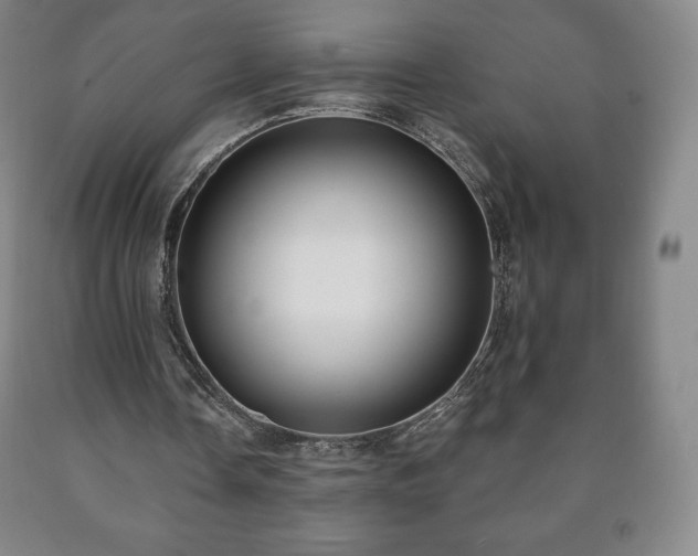 X0000090730338200707271408