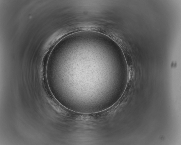 X0000090730339200707271408