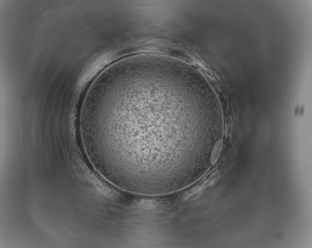 X0000090730341200707271408