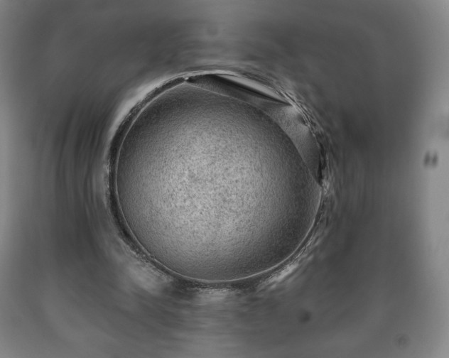 X0000090730342200707271408
