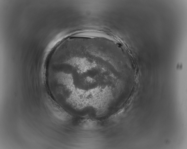 X0000090730343200707271408