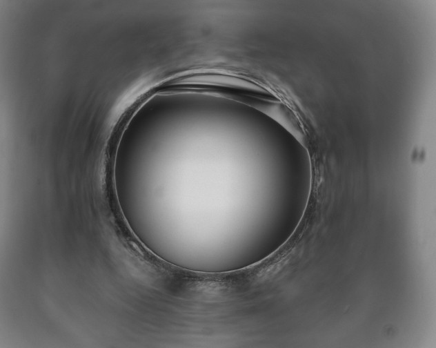 X0000090730344200707271408