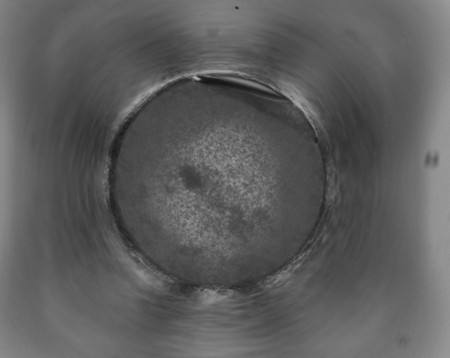 X0000090730346200707271408