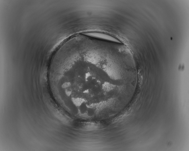 X0000090730347200707271408