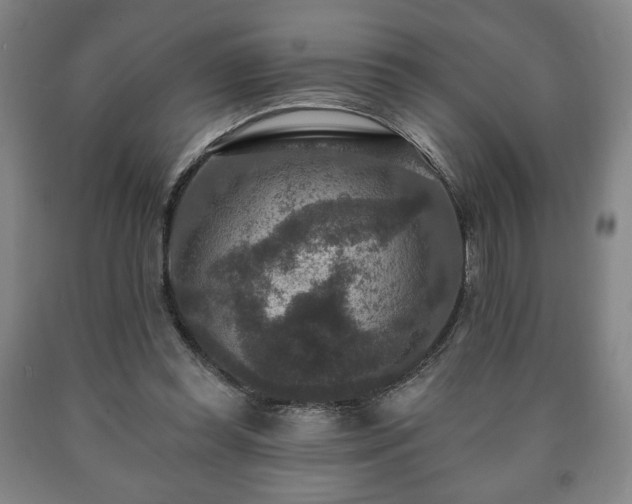 X0000090730349200707271408