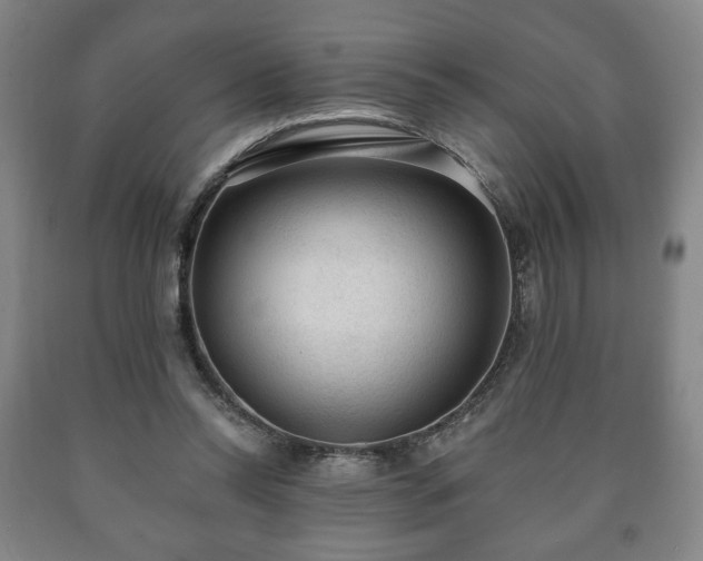X0000090730350200707271408