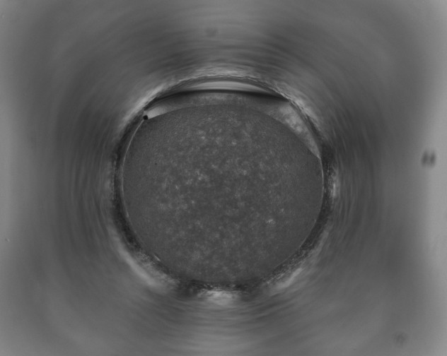X0000090730352200707271408