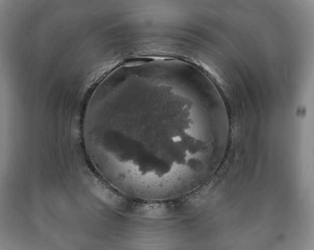 X0000090730353200707271408