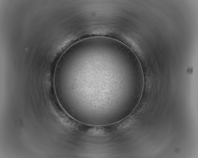 X0000090730354200707271408
