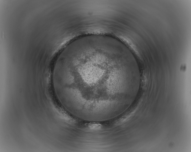 X0000090730355200707271408