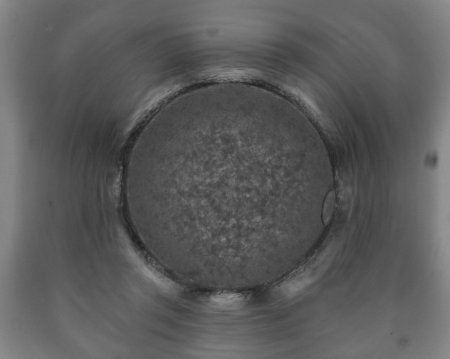 X0000090730357200707271408