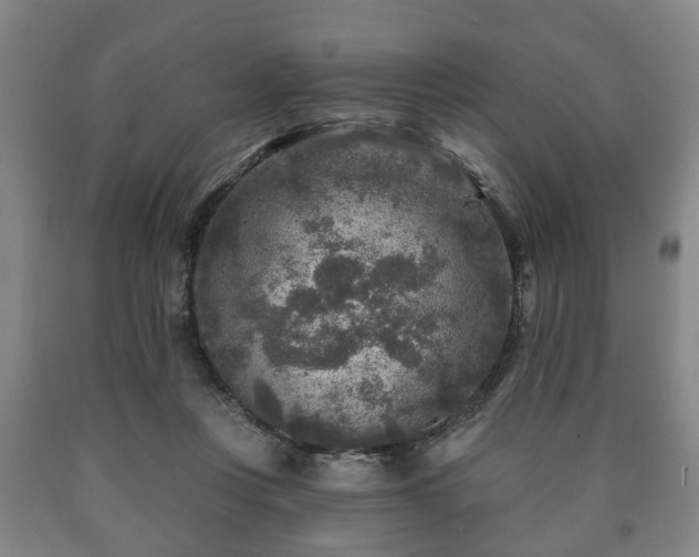 X0000090730359200707271408