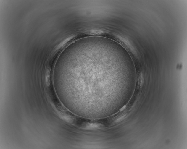 X0000090730360200707271408